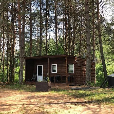 Forest Cabin Ozolaine エクステリア 写真